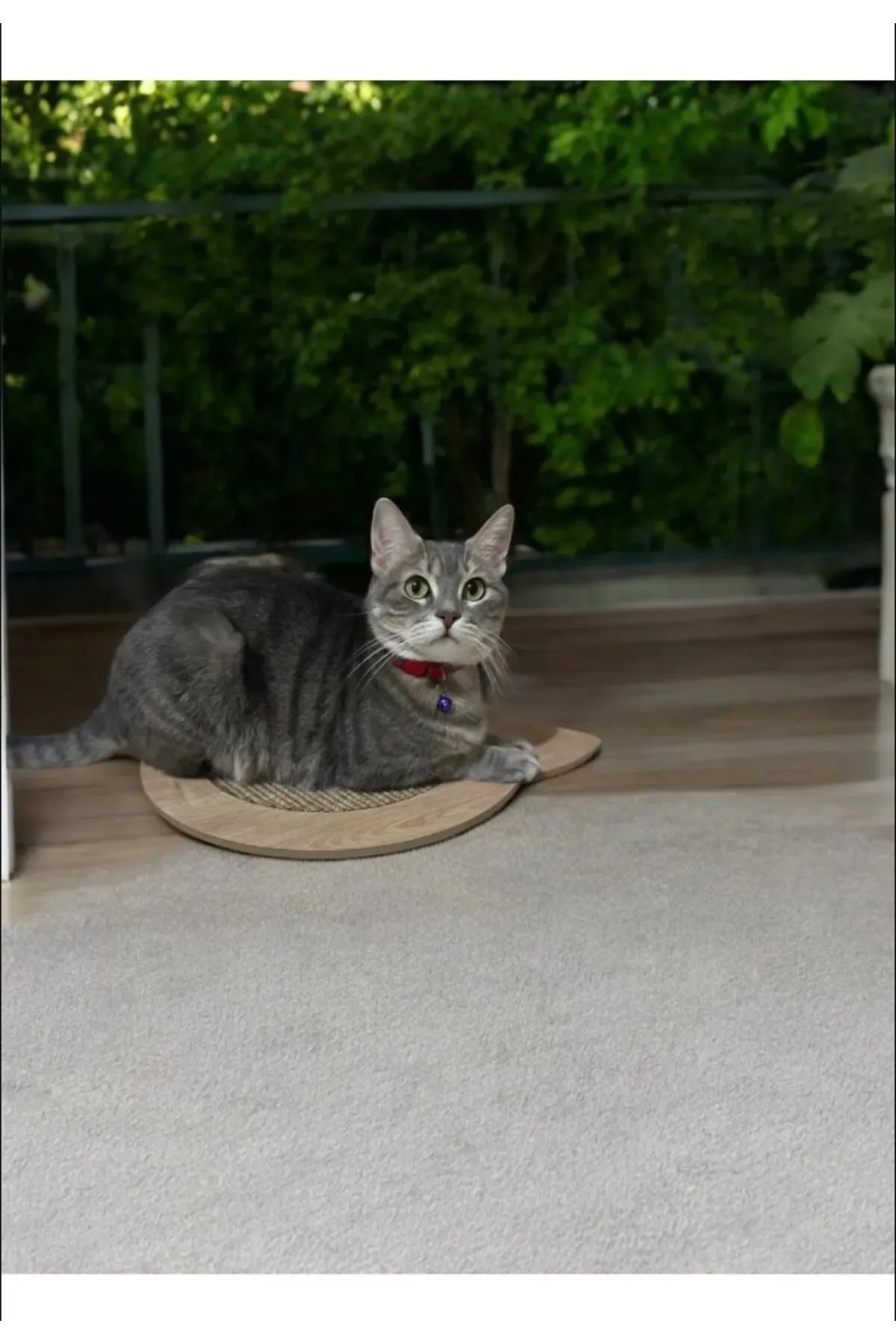 Doğal Hali Kedi Tirmalama Tahtasi Ozel Desen