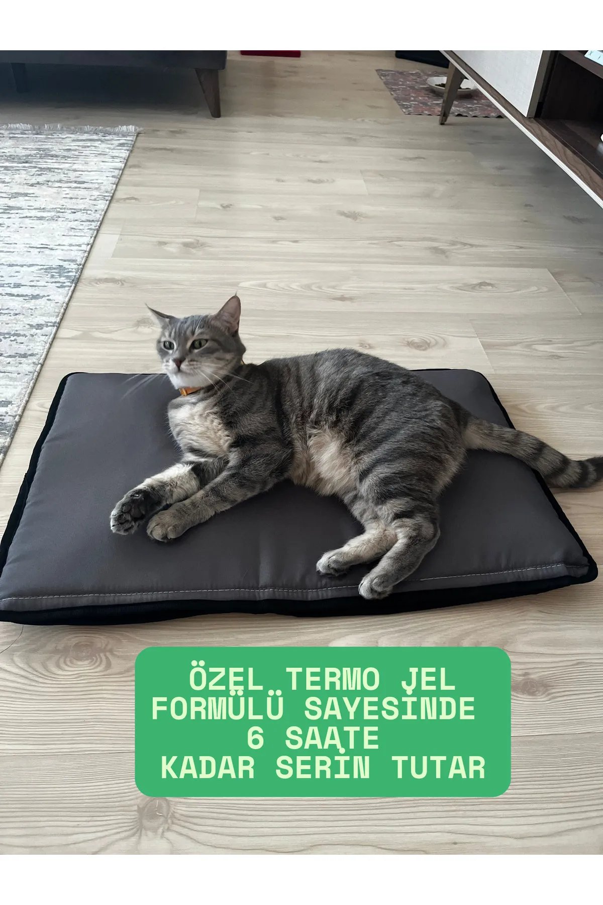 4 Mevsim Serinletici Mat ve Kedi Tırmalama Halısı 4 Mevsim Serinletici Mat ve Kedi Tırmalama Halısı